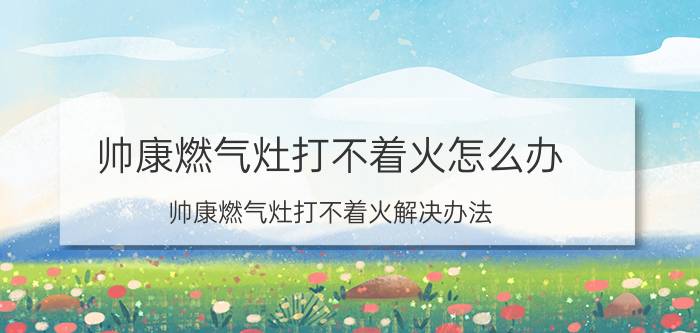 帅康燃气灶打不着火怎么办 帅康燃气灶打不着火解决办法